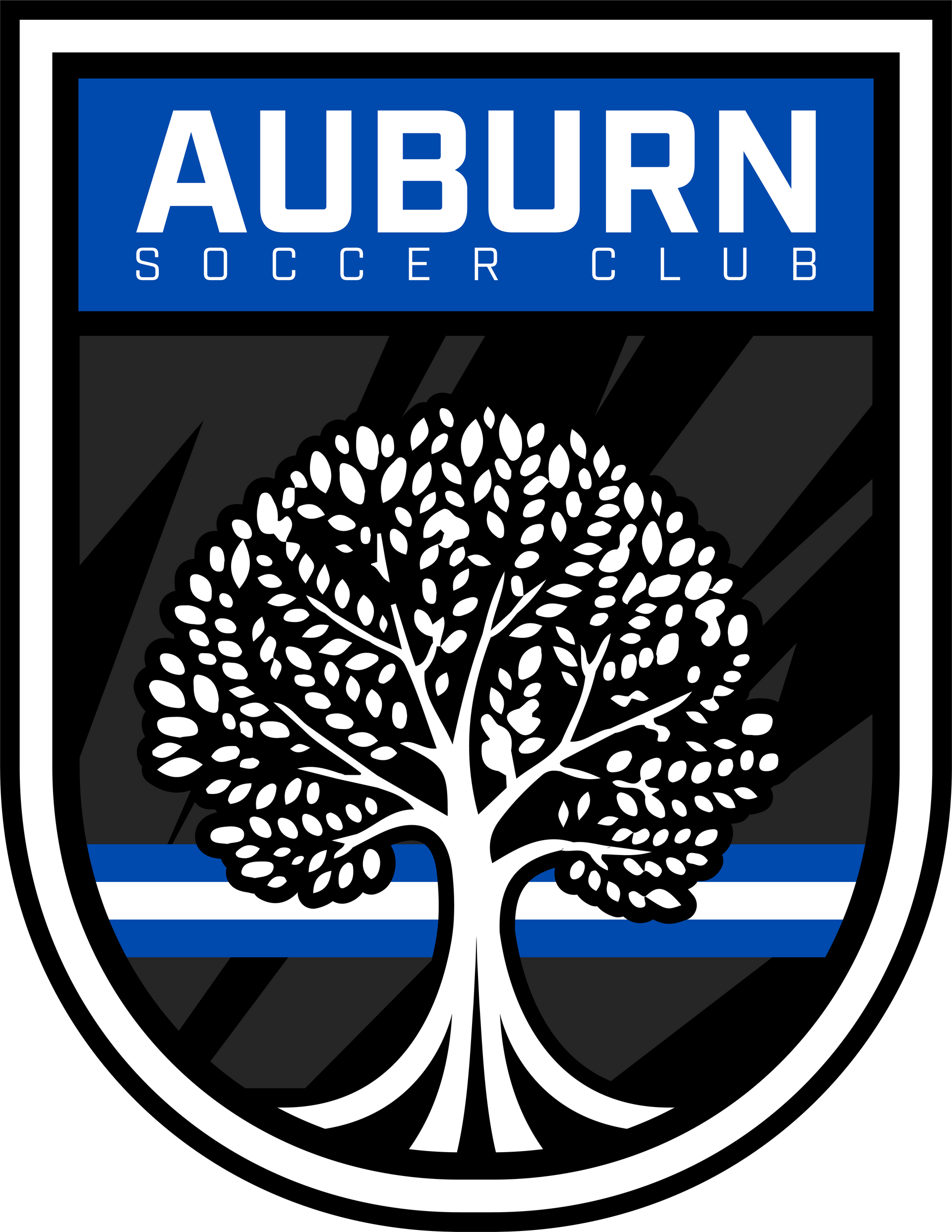 Auburn Soccer Club logo