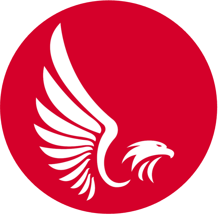 Boston Vigor FC logo