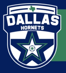 Dallas Hornets logo