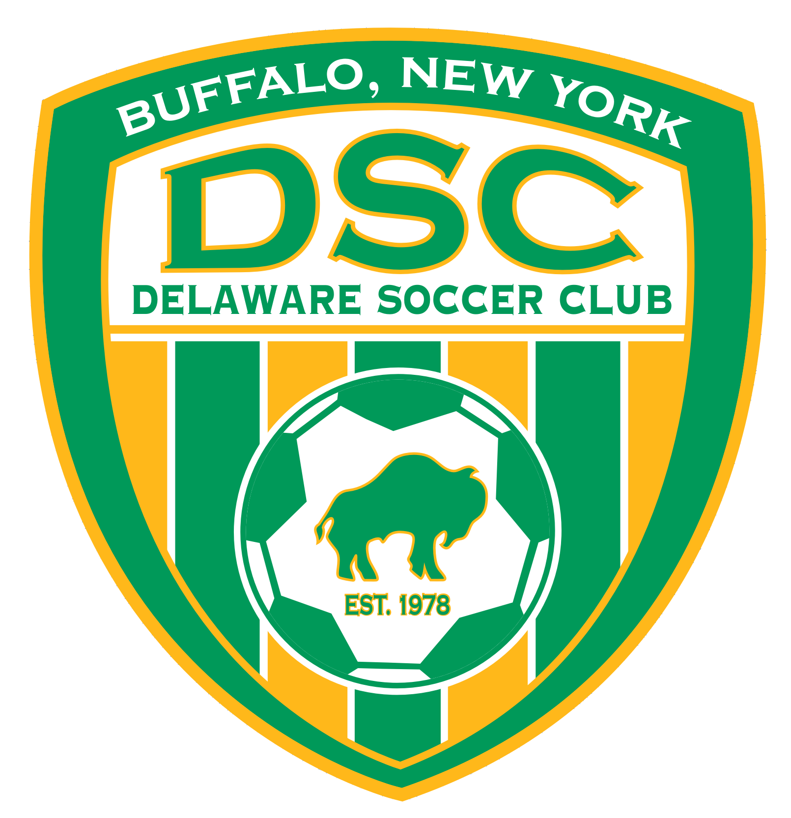 Delaware Soccer Club logo