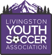 Livingston Youth Soccer Association logo