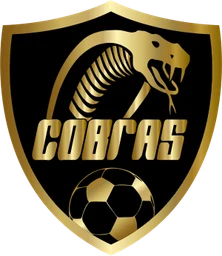 VK Cobras FC logo