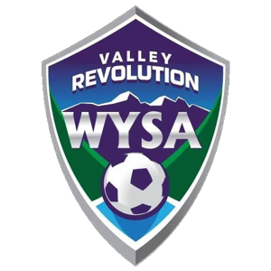Valley Revolution logo